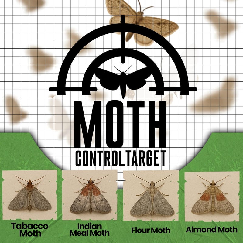 MothMag Pantry Moth Traps with Pheromones – 6 Pack, Non-Toxic Insect Killer for Kitchen, Cupboards, and Food Storage – Indoor Pantry Moth Glue Traps How to Get Rid of Pantry Moths - Image 5